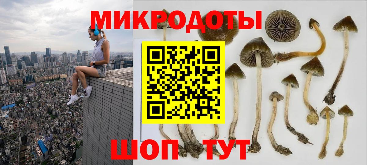 Псилоцибиновые грибы Cubensis  Вход с VPN  Галлюциногенные грибы ЛСД  Первоуральск 
